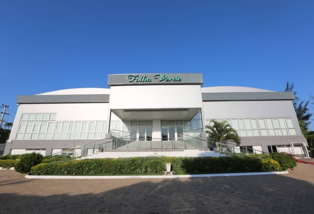Folha Verde